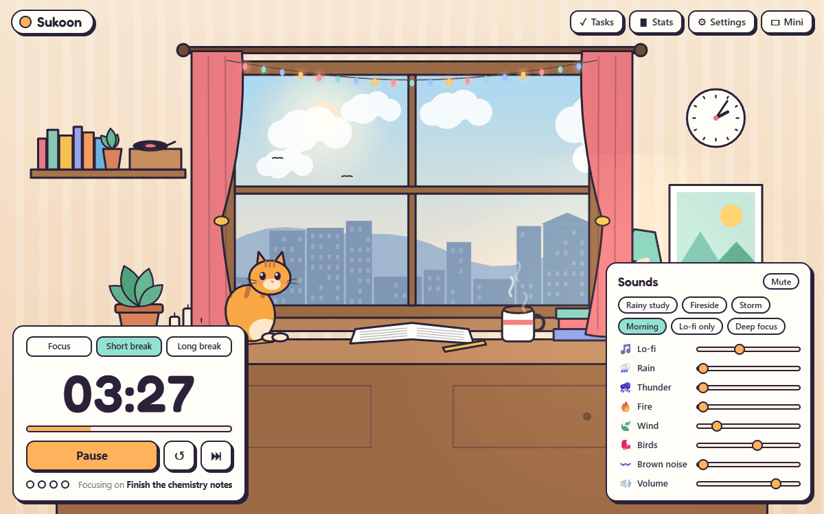 A short break on a sunny afternoon: the cat is awake and sitting up on the desk